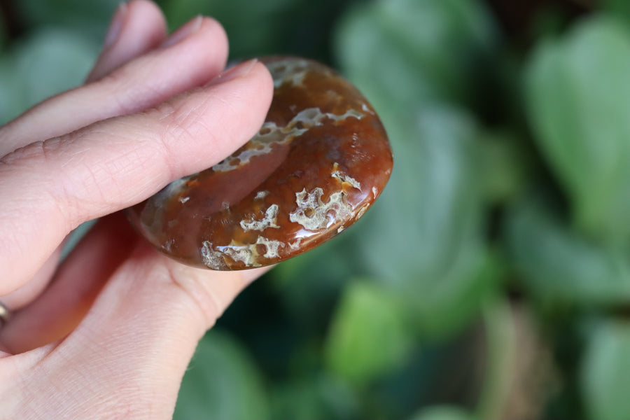 Old stock ocean jasper pocket stone OS10 new