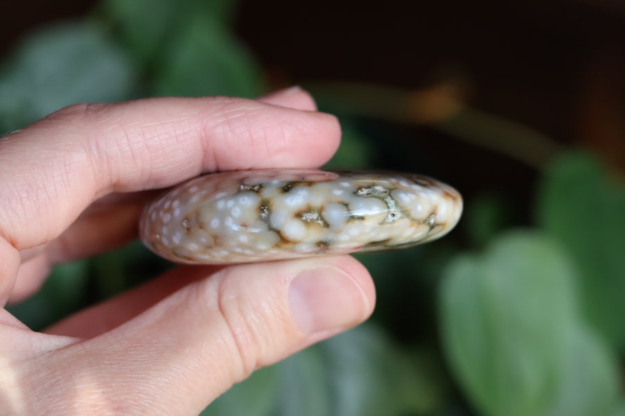 Old stock ocean jasper pocket stone OS11