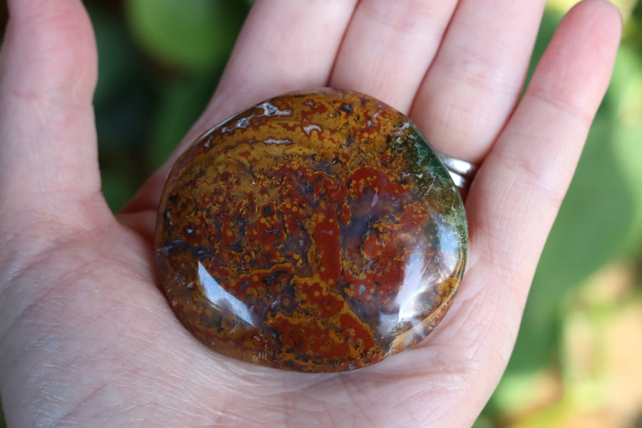 Old stock ocean jasper pocket stone OS12