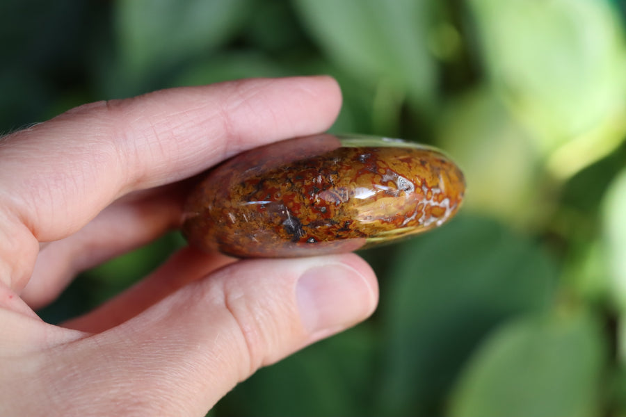 Old stock ocean jasper pocket stone OS12