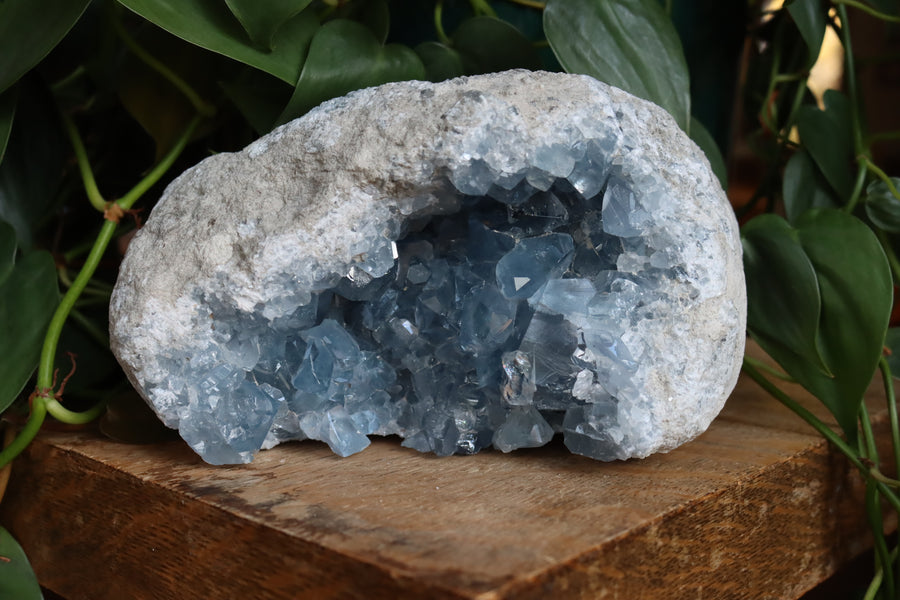 Celestite cluster 1 new