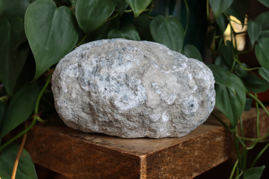 Celestite cluster 1 new