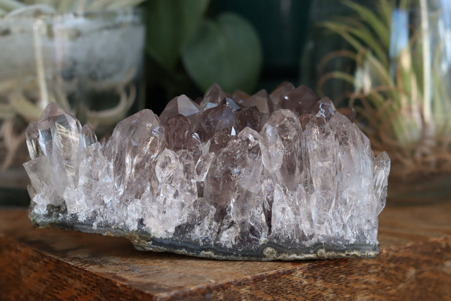 Smoky amethyst cluster 1