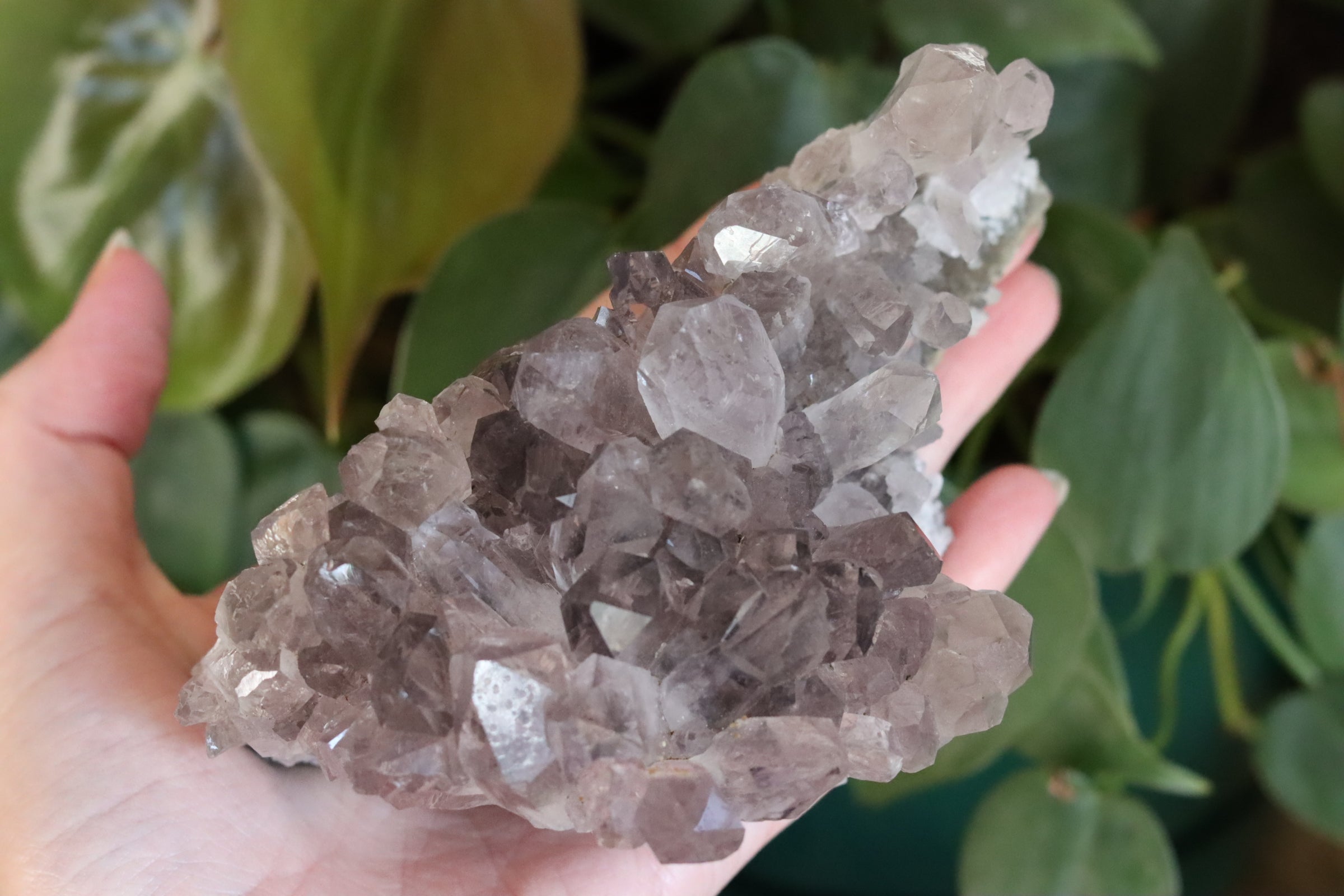 Smoky amethyst cluster 1