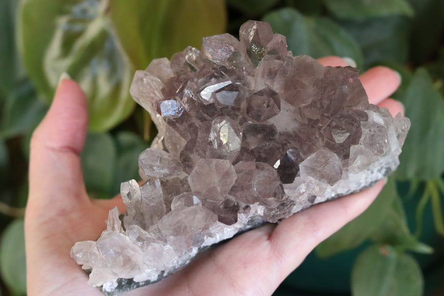 Smoky amethyst cluster 1