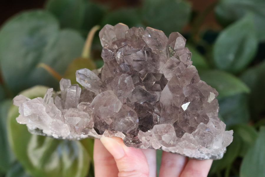 Smoky amethyst cluster 1