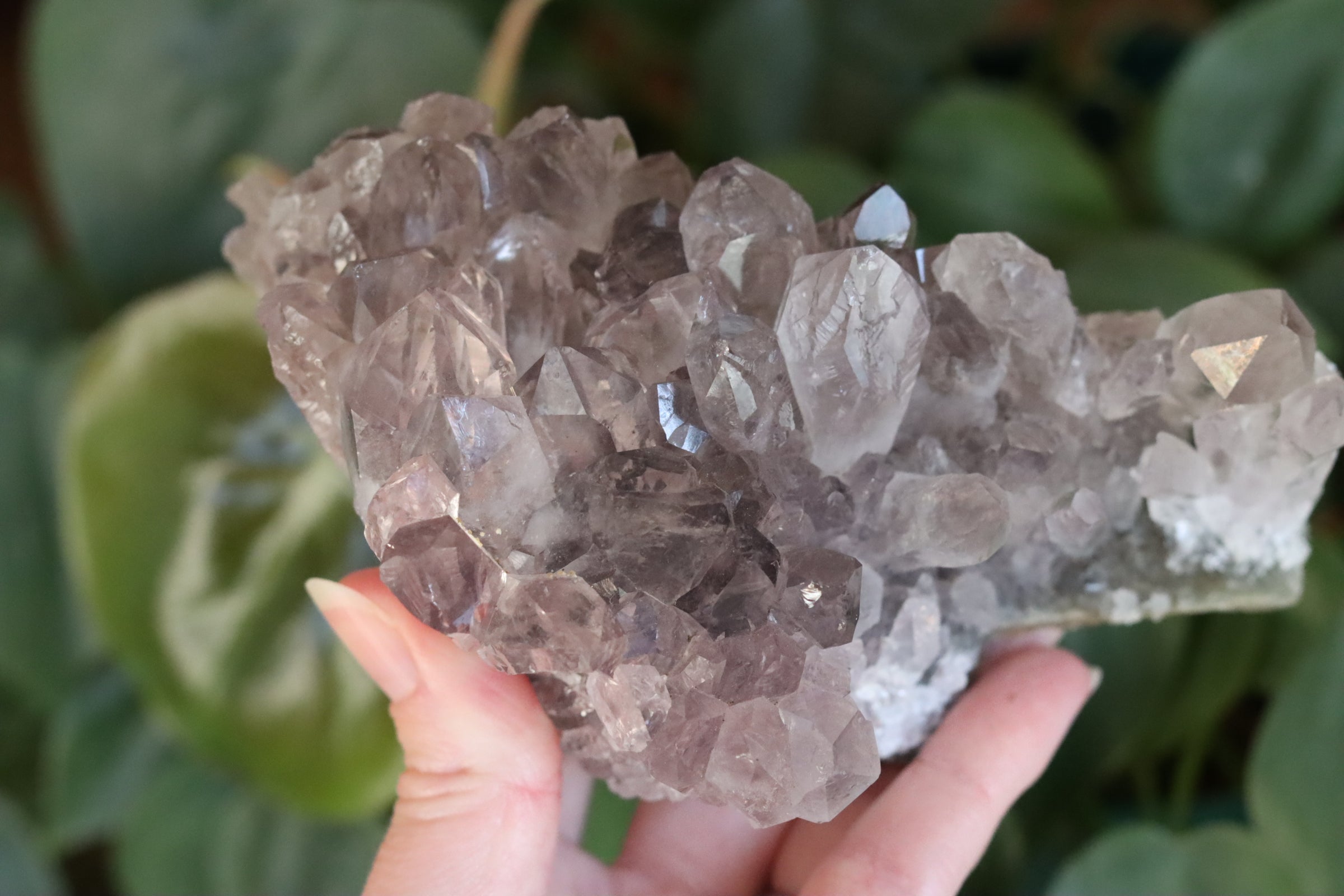 Smoky amethyst cluster 1