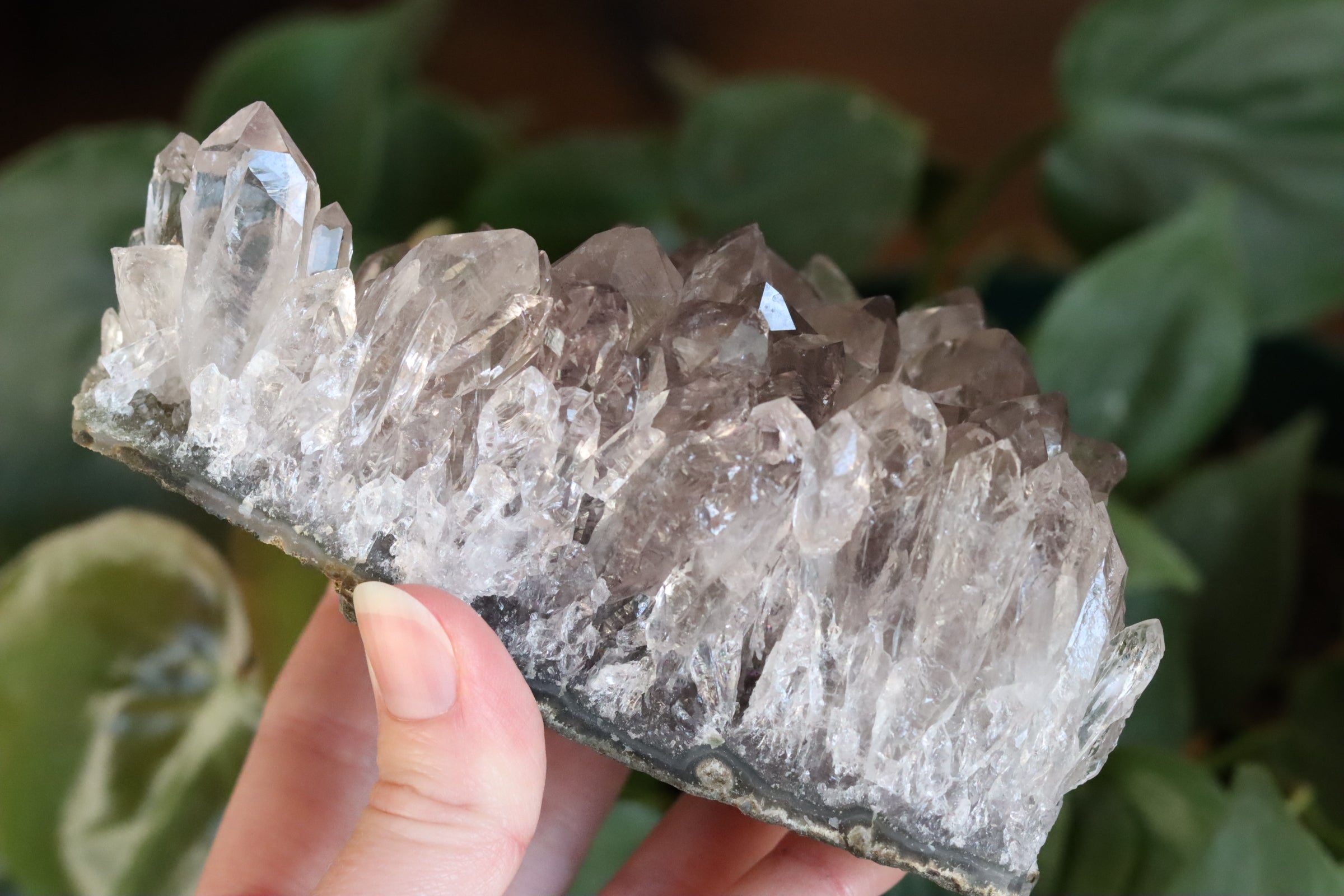 Smoky amethyst cluster 1