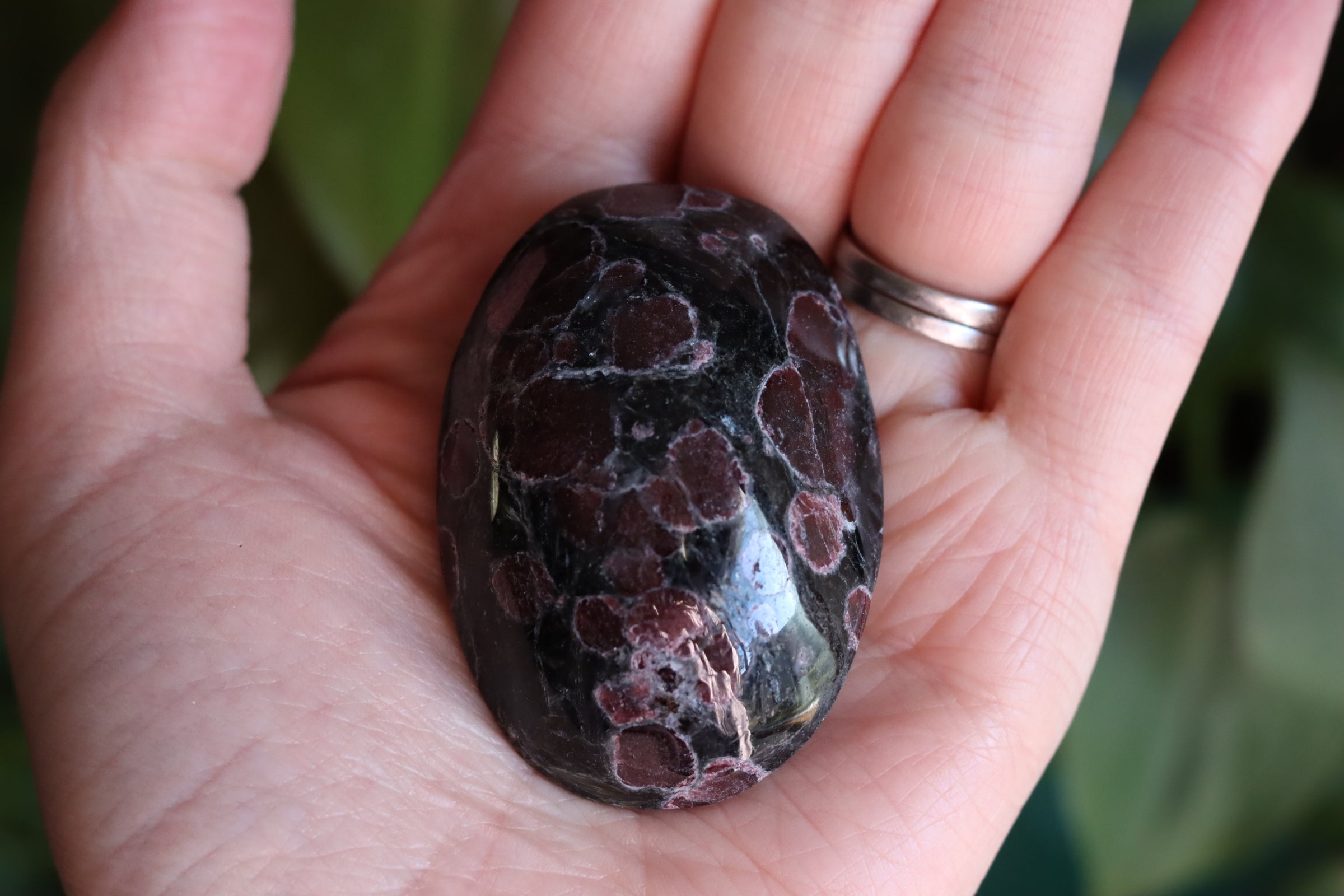 Garnet astrophyllite pocket stone 7