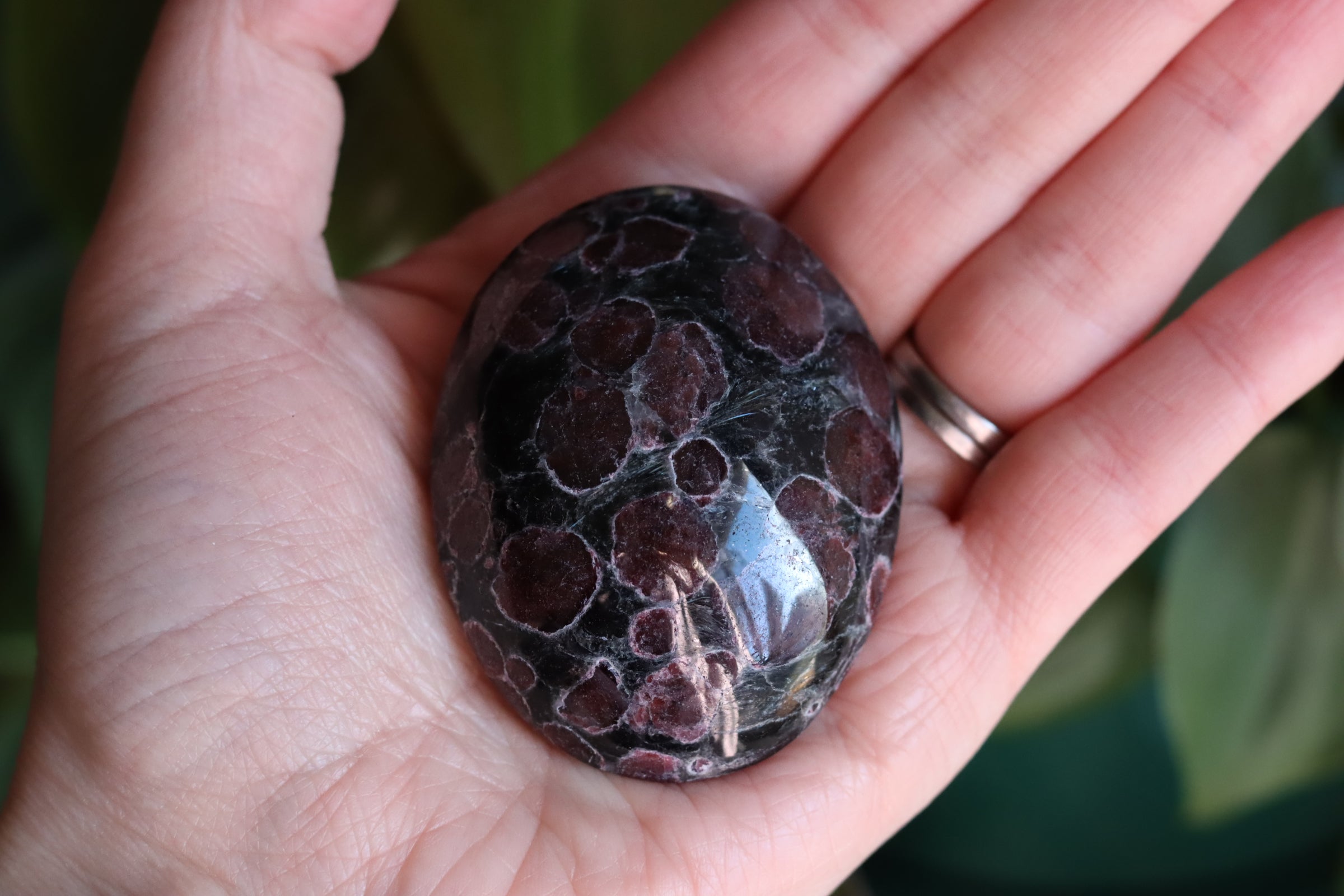 Garnet astrophyllite pocket stone 8