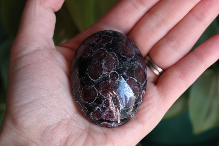 Garnet astrophyllite pocket stone 8