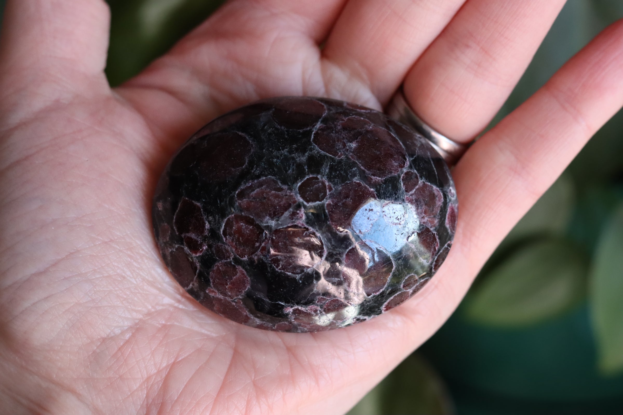 Garnet astrophyllite pocket stone 8