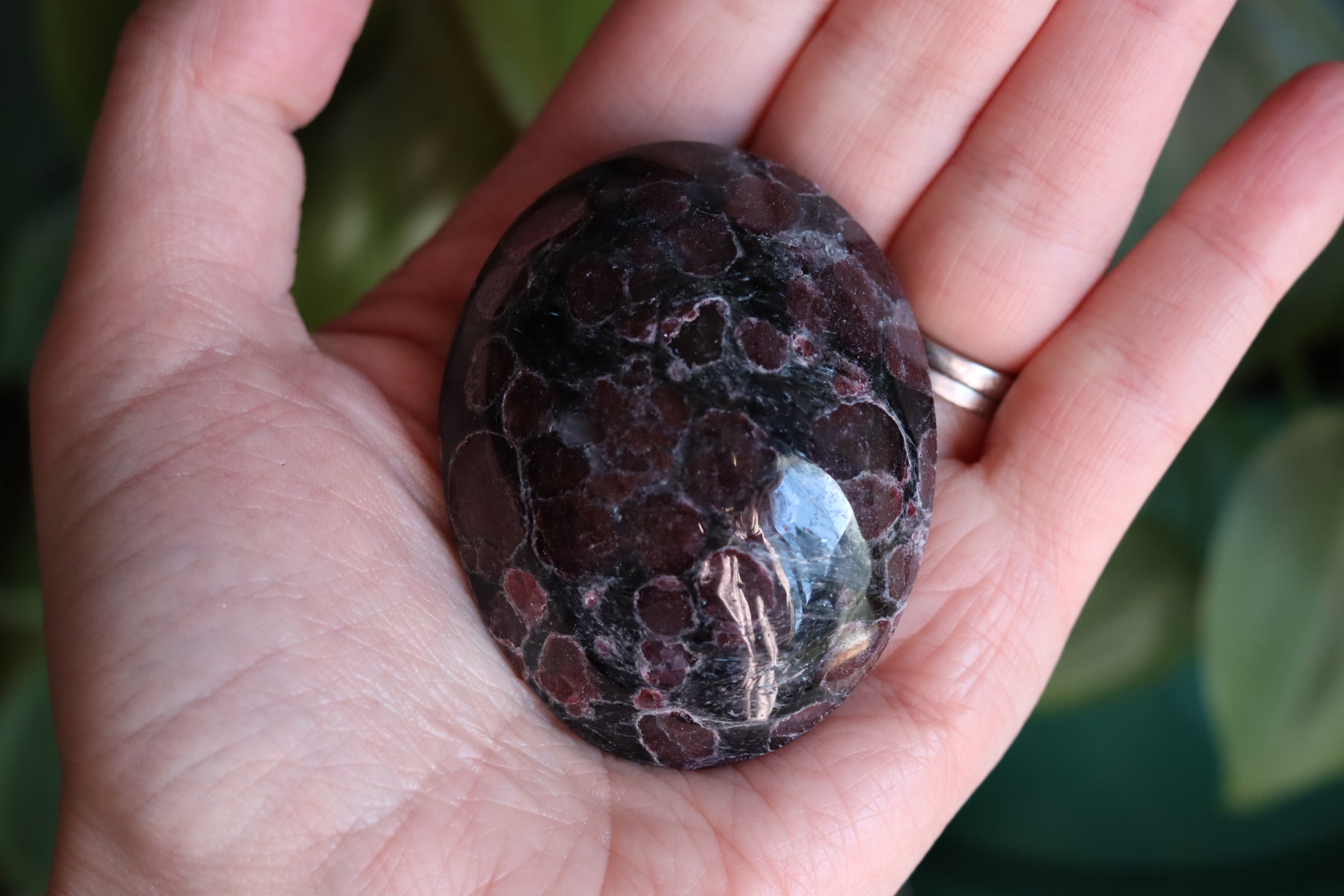 Garnet astrophyllite pocket stone 8