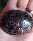 Garnet astrophyllite pocket stone 8 new