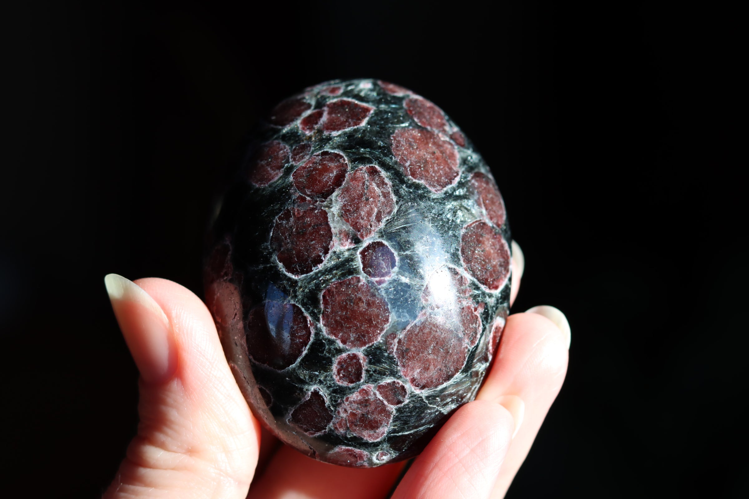 Garnet astrophyllite pocket stone 8