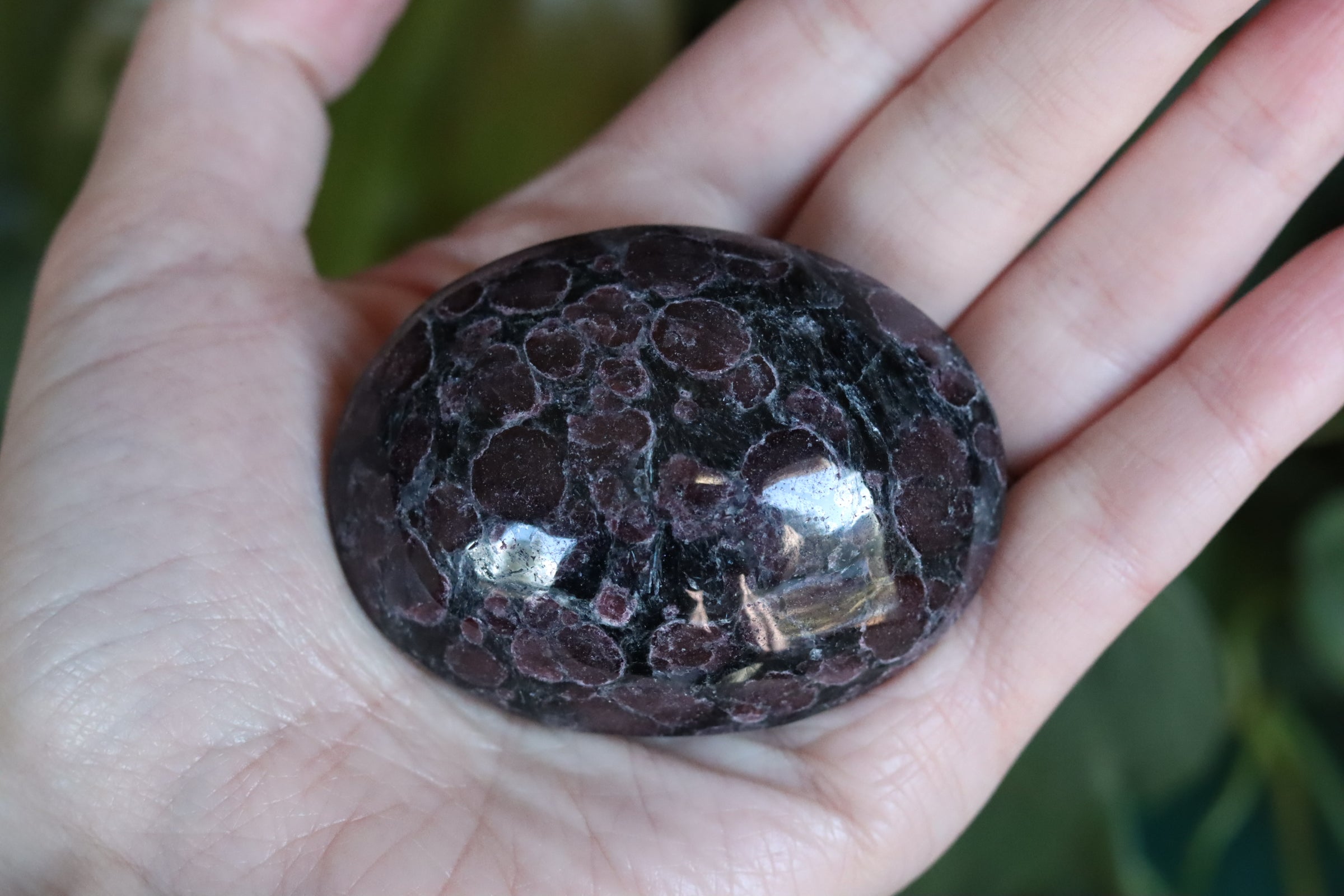 Garnet astrophyllite pocket stone 10