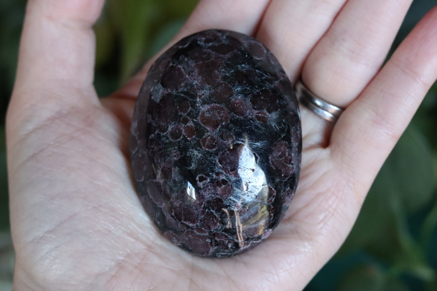 Garnet astrophyllite pocket stone 10