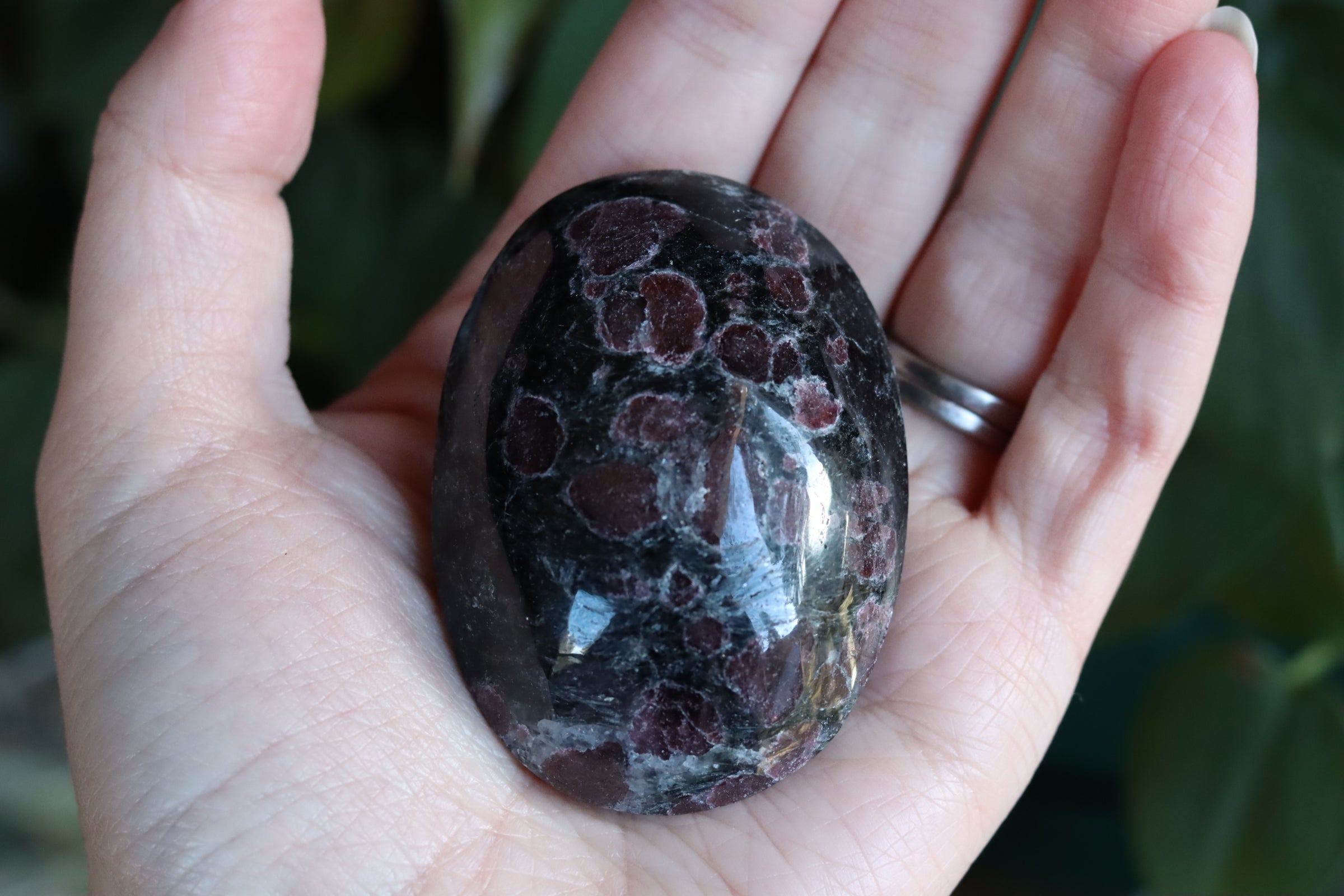 Garnet astrophyllite pocket stone 11
