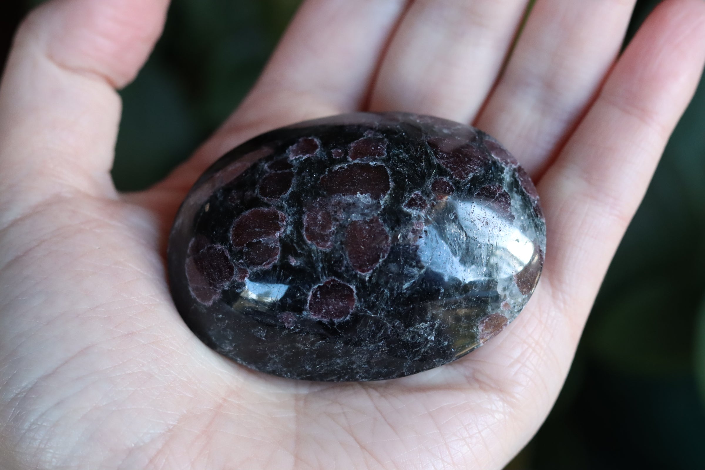 Garnet astrophyllite pocket stone 11