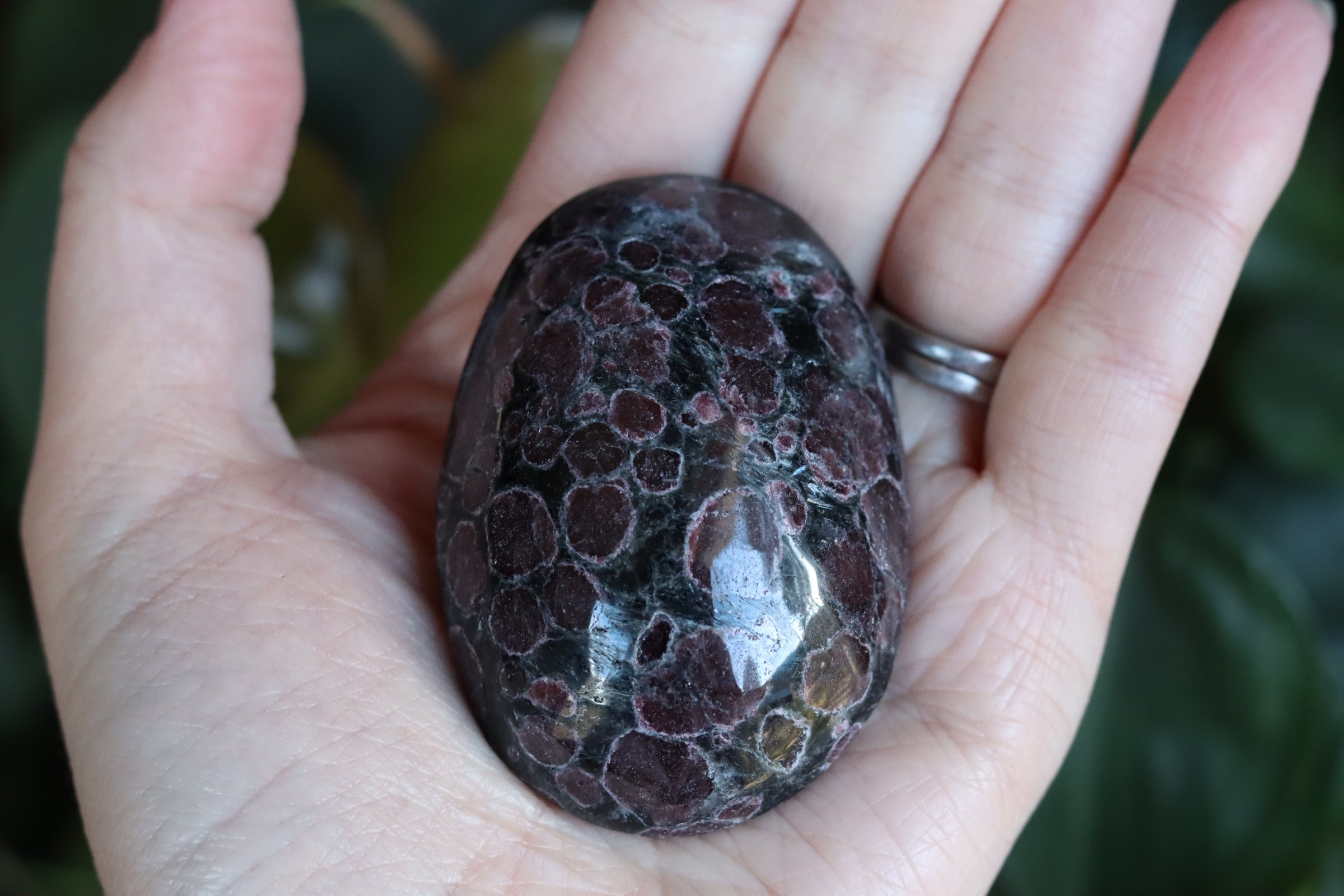 Garnet astrophyllite pocket stone 12