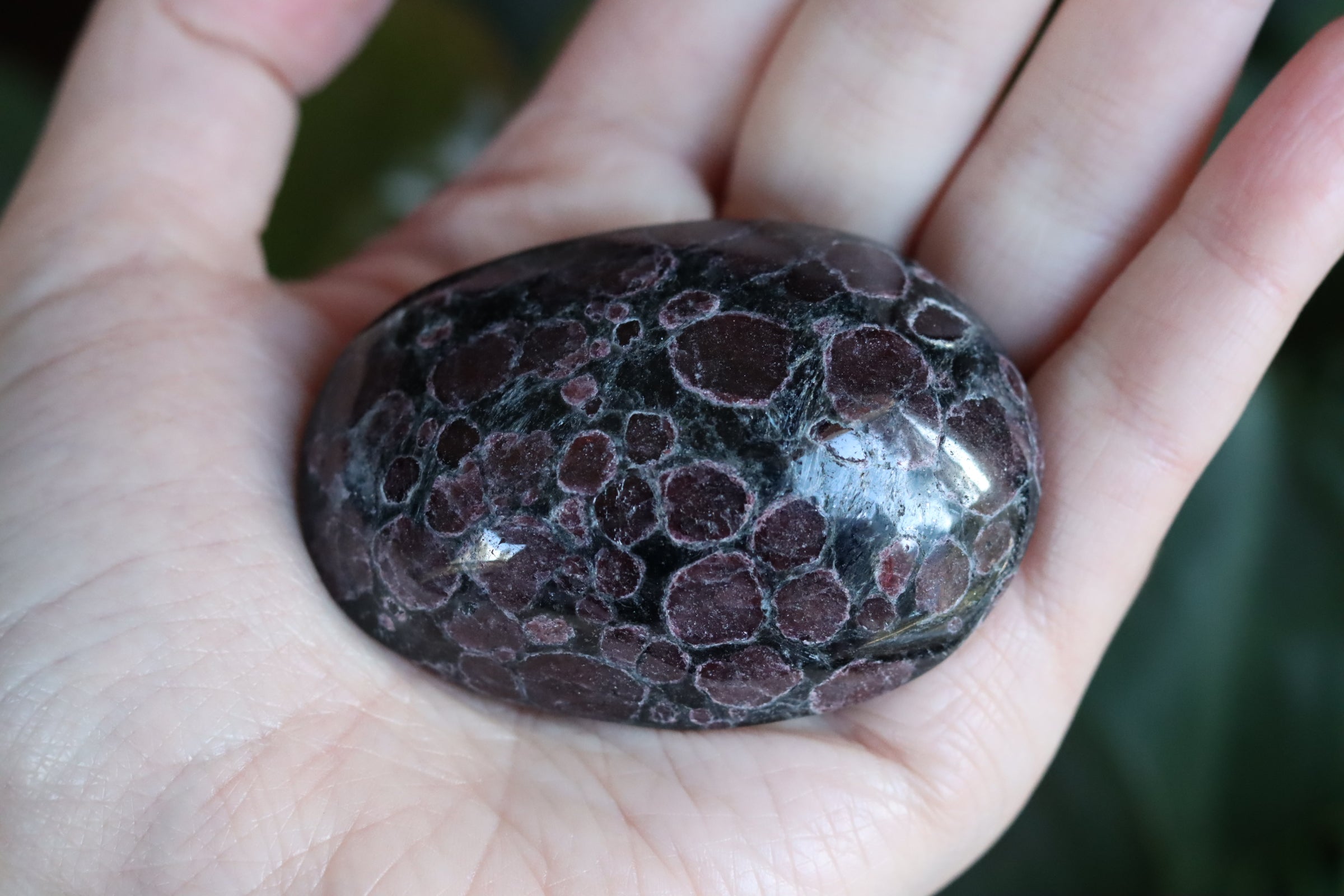 Garnet astrophyllite pocket stone 12