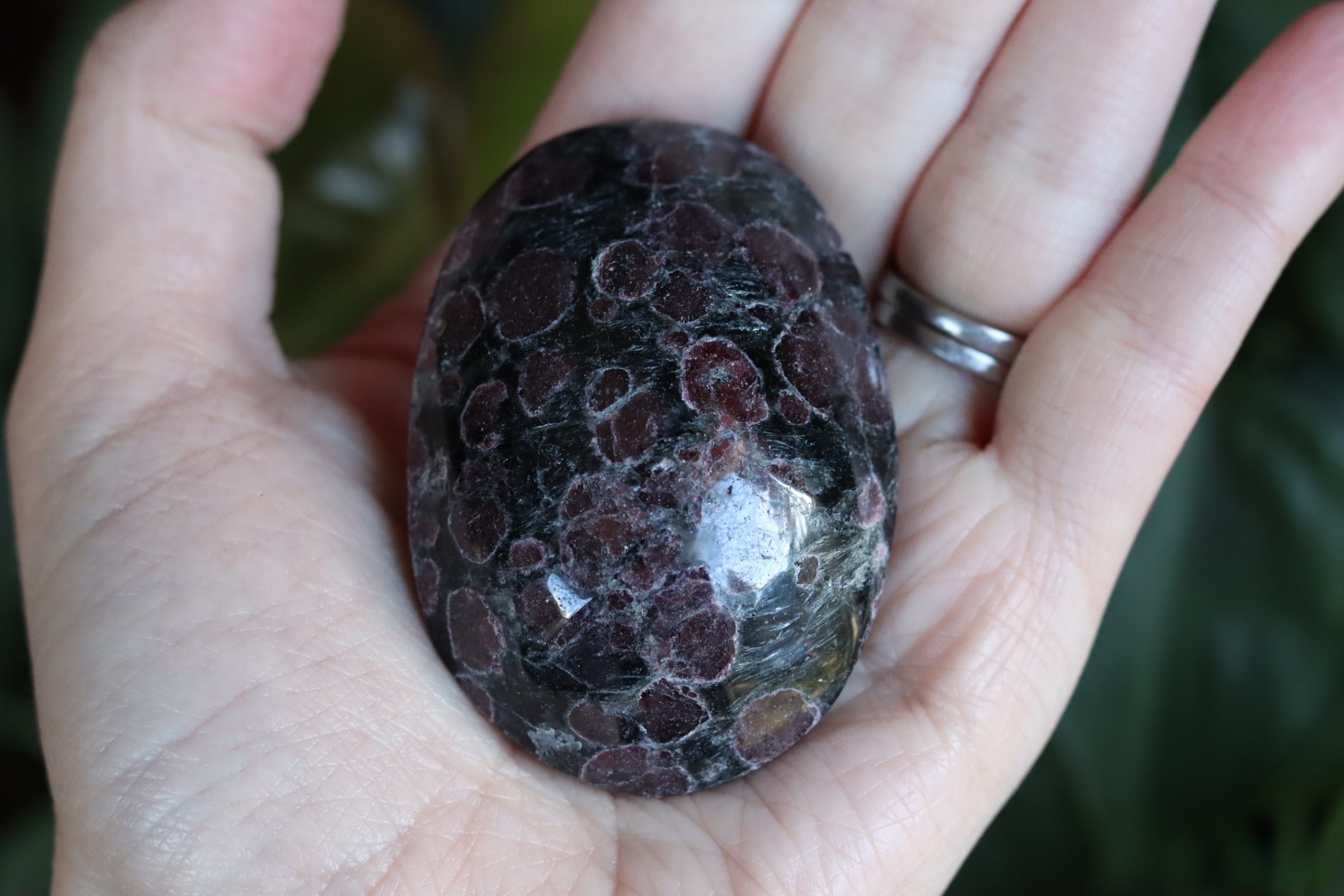 Garnet astrophyllite pocket stone 12