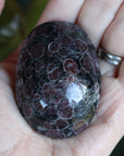 Garnet astrophyllite pocket stone 12 new