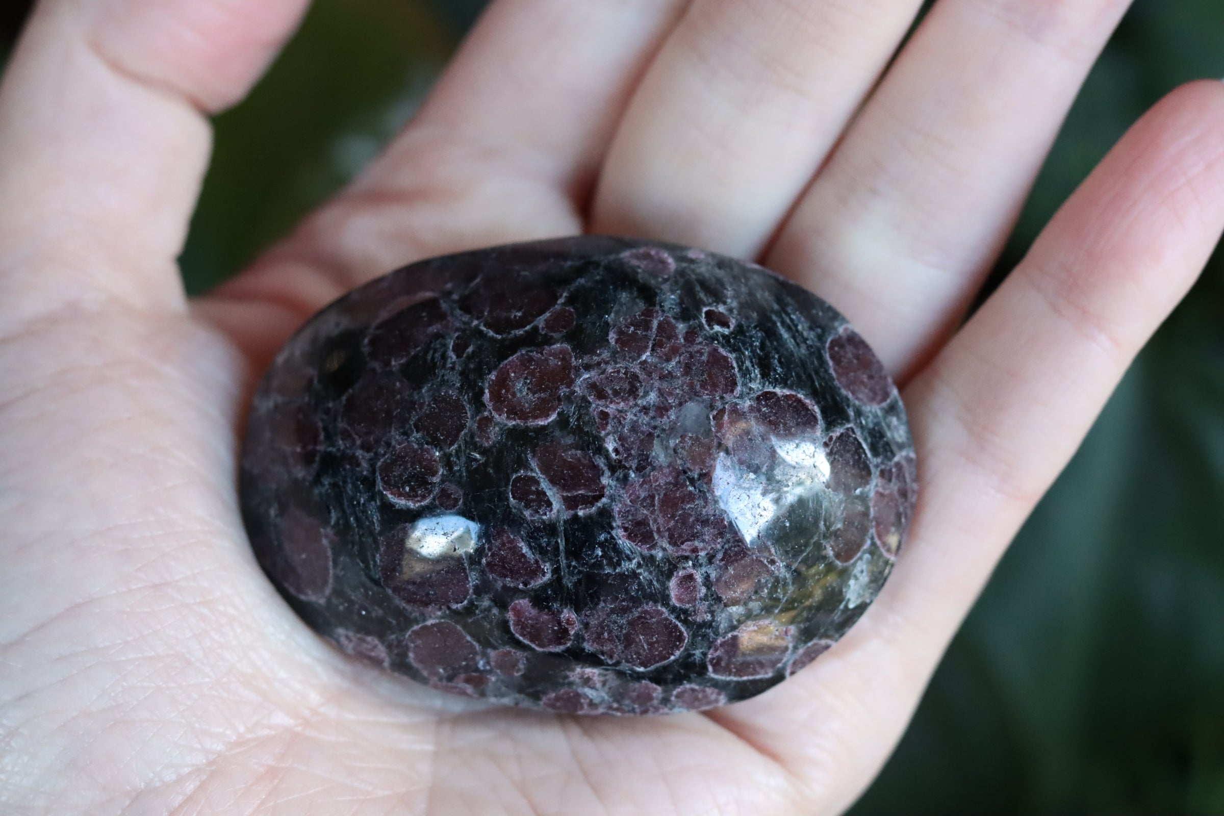 Garnet astrophyllite pocket stone 12