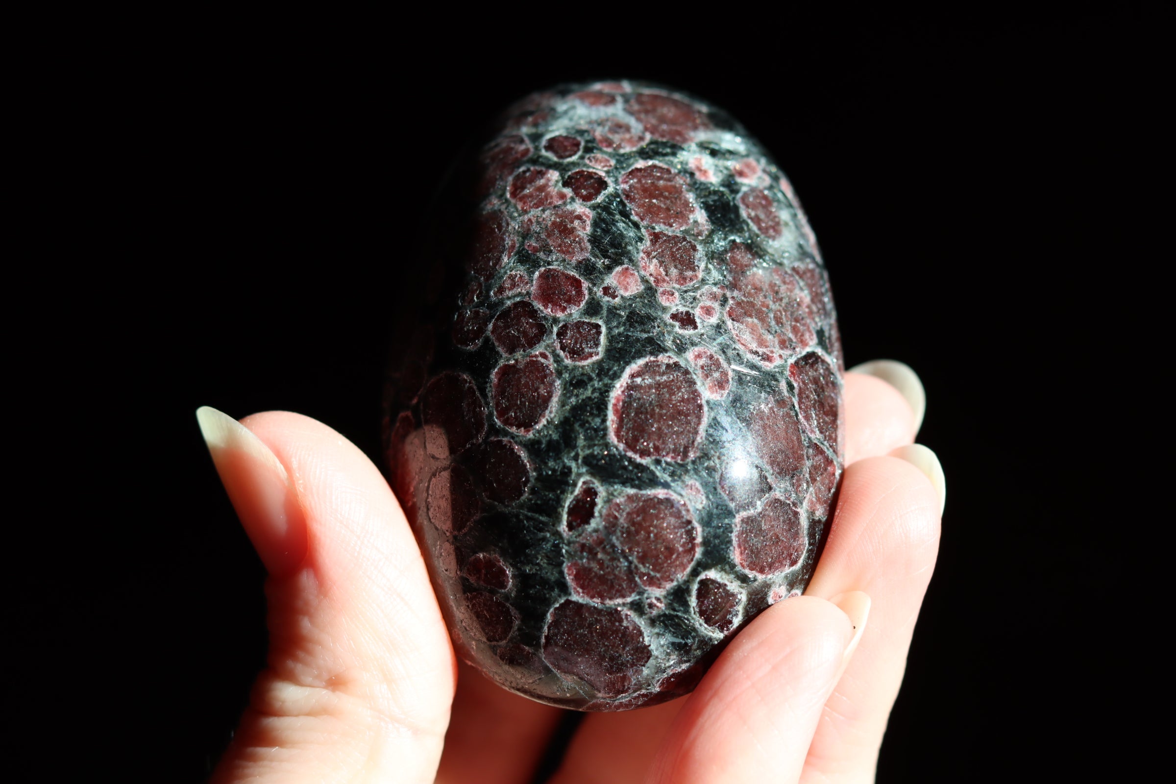 Garnet astrophyllite pocket stone 12