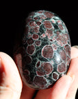 Garnet astrophyllite pocket stone 12 new