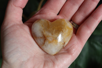 Golden healer heart 1 new