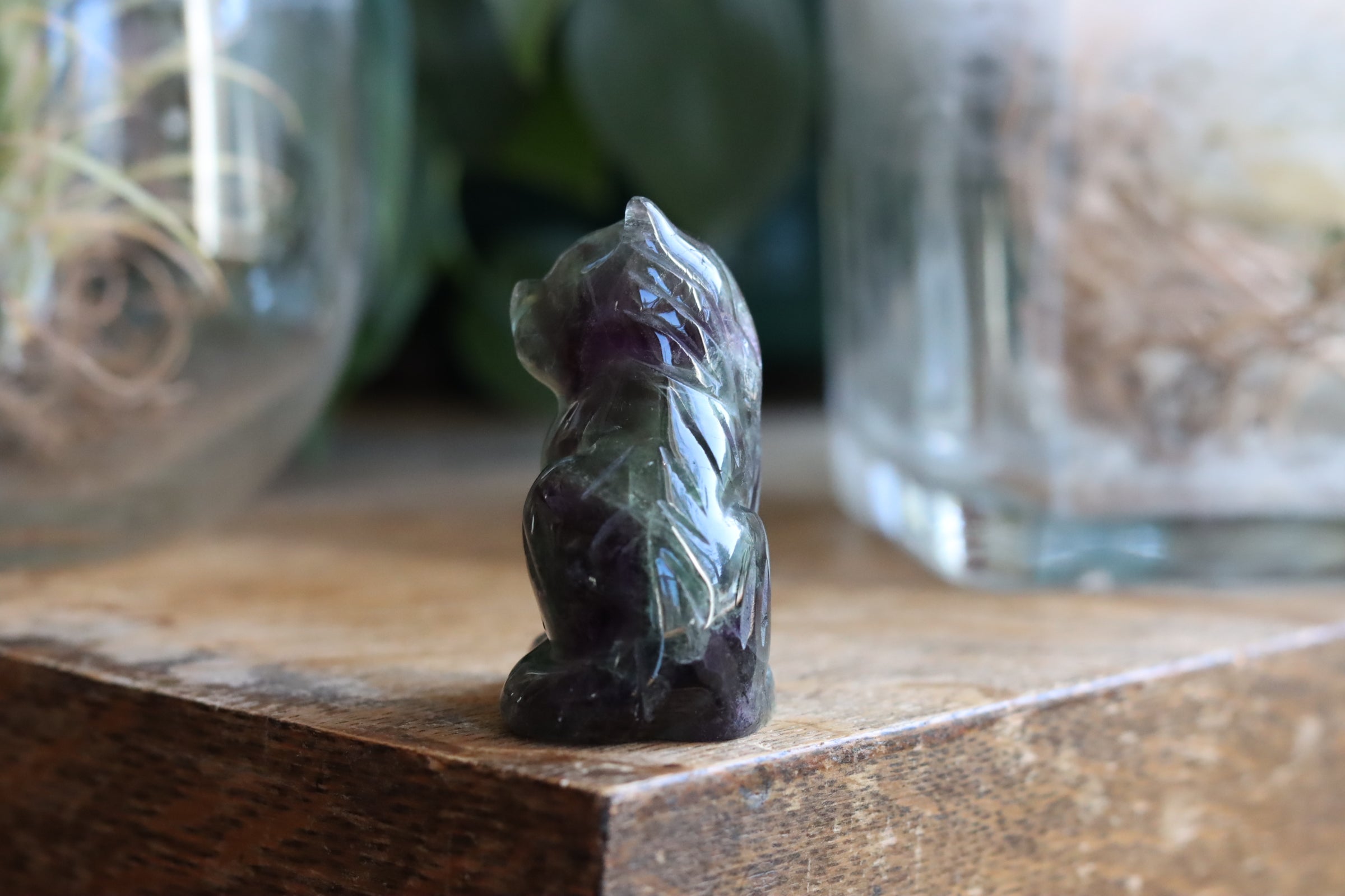 Rainbow fluorite cat 1