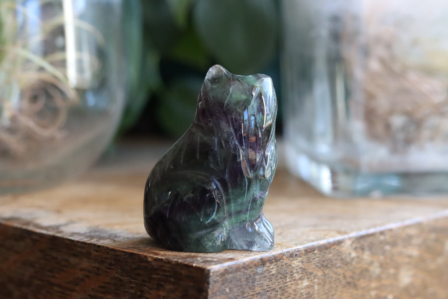 Rainbow fluorite cat 1 new