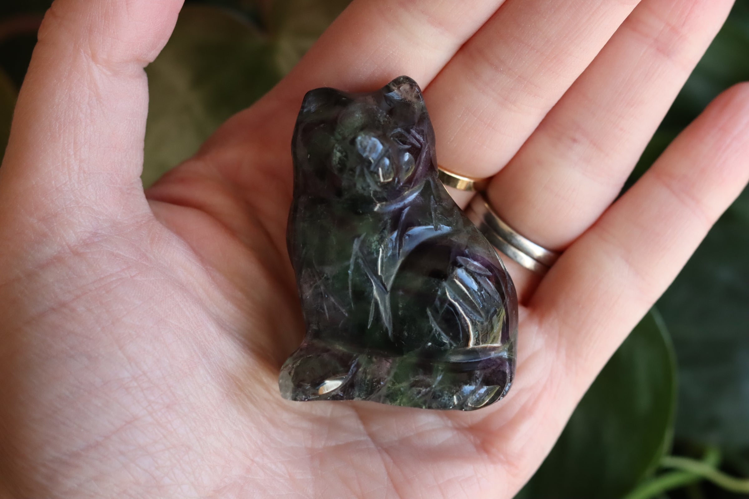 Rainbow fluorite cat 1