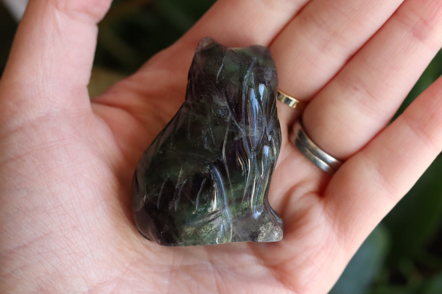 Rainbow fluorite cat 1 new