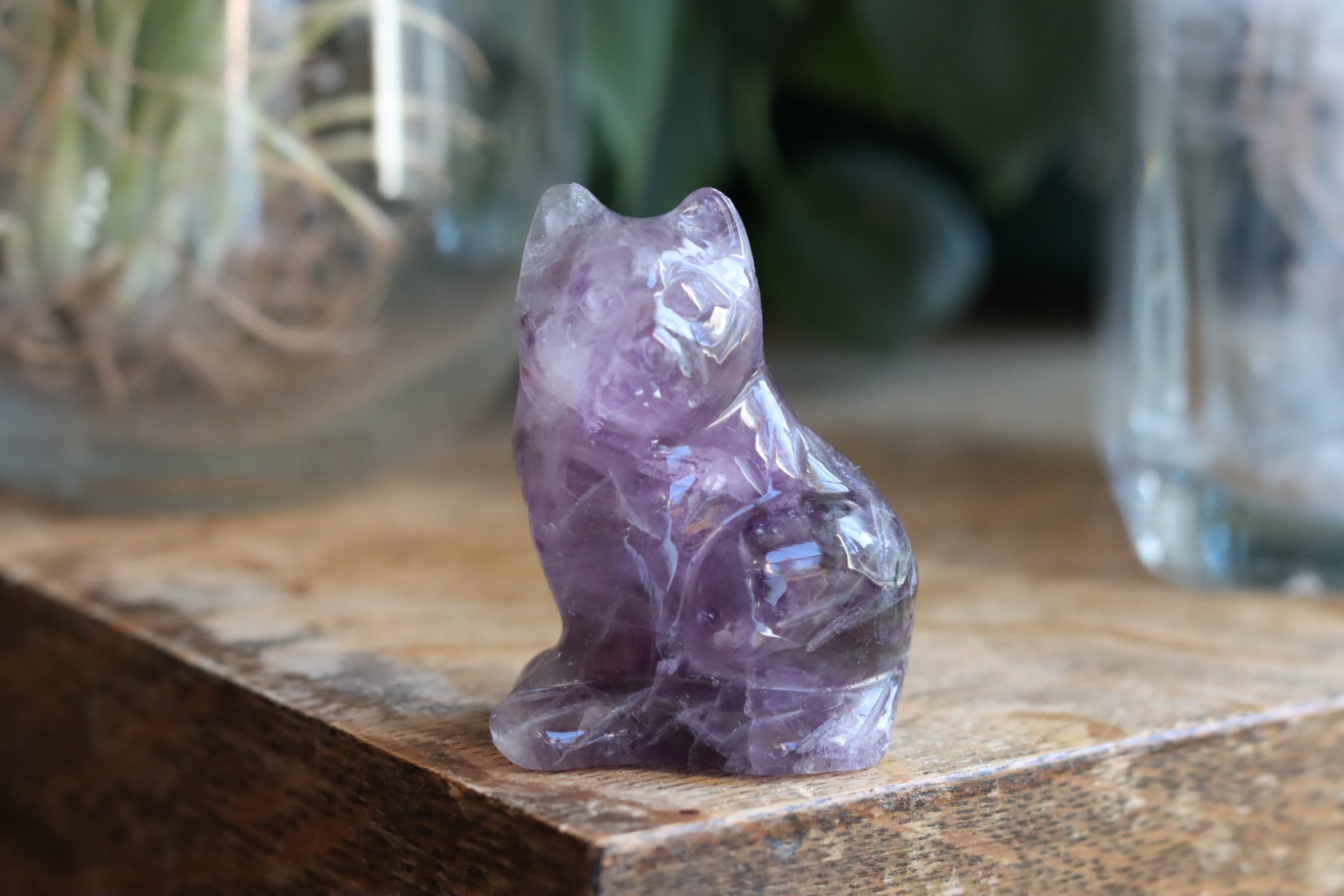 Rainbow fluorite cat 2