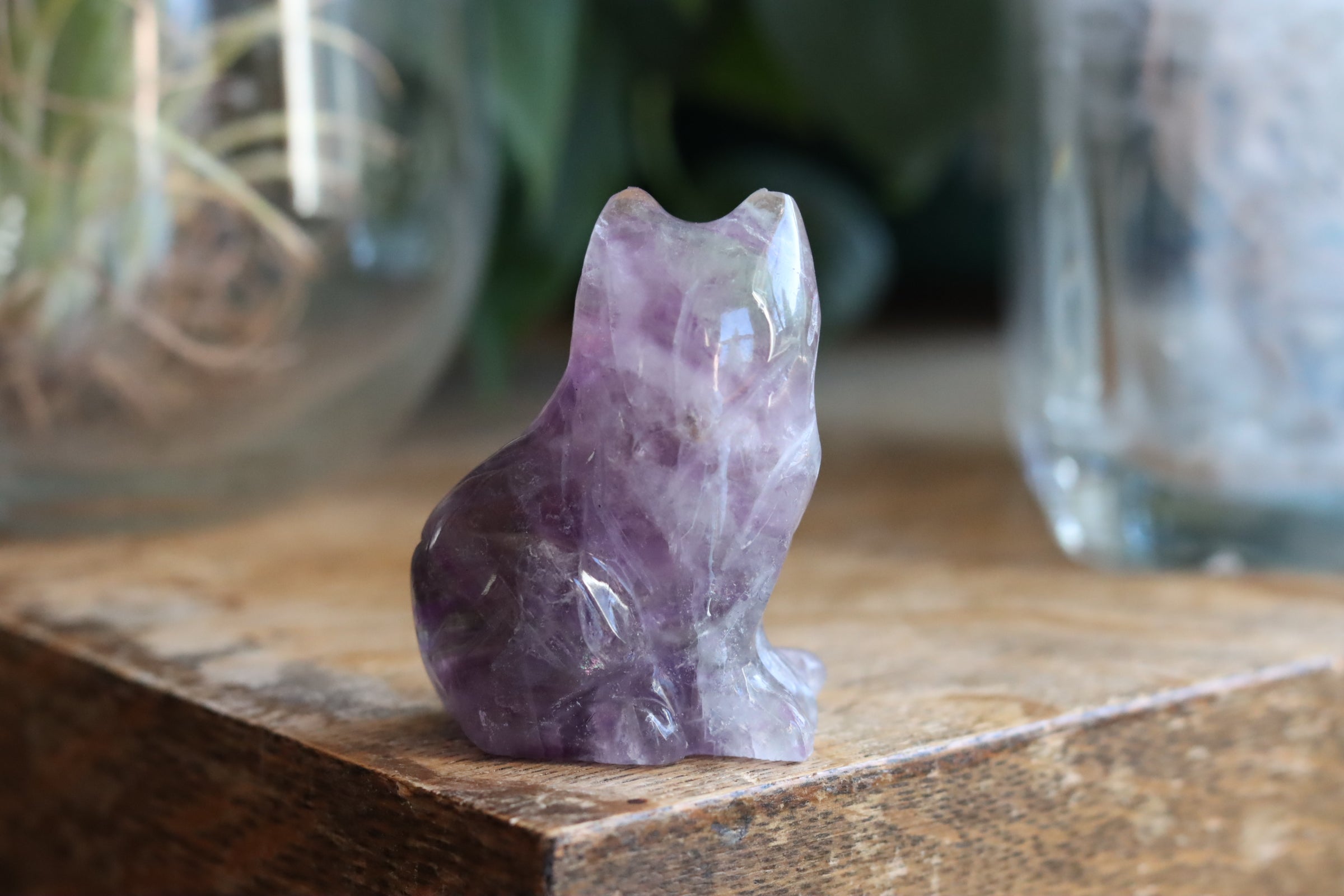 Rainbow fluorite cat 2