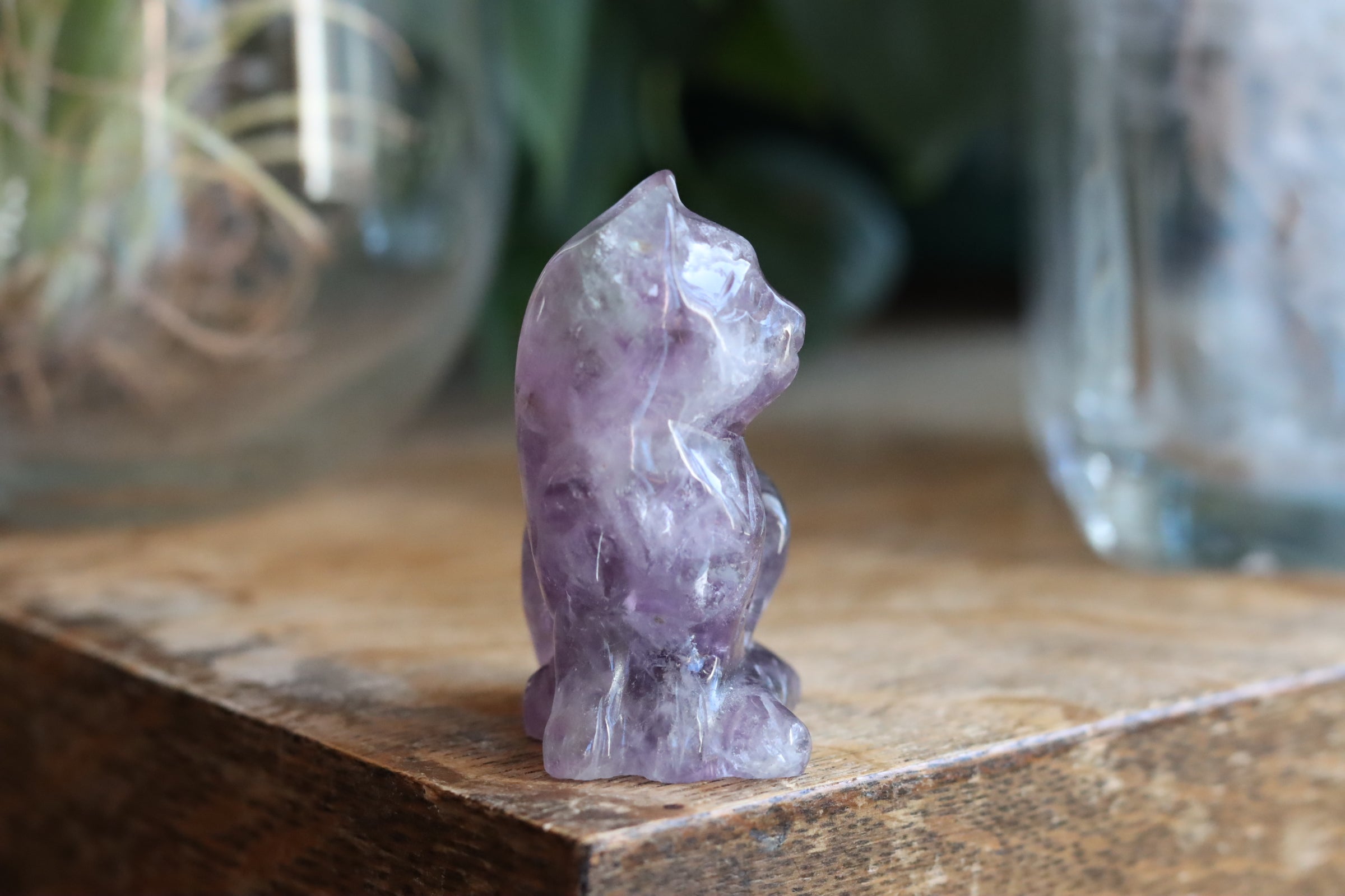 Rainbow fluorite cat 2