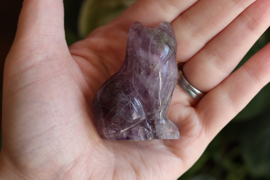 Rainbow fluorite cat 2 new