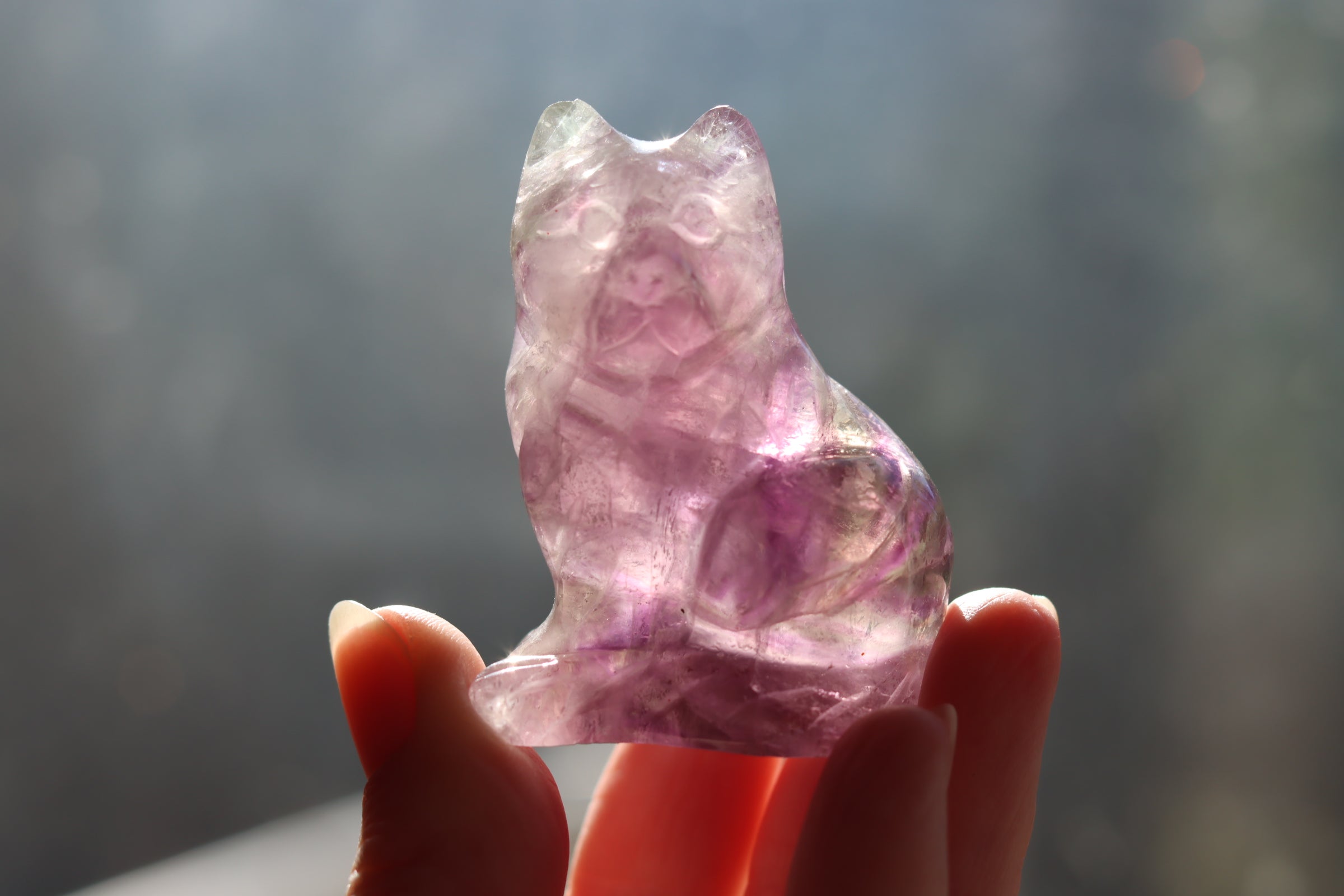 Rainbow fluorite cat 2