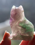 Rainbow fluorite cat 4 new