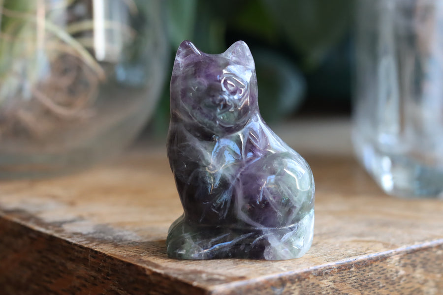 Rainbow fluorite cat 6 new