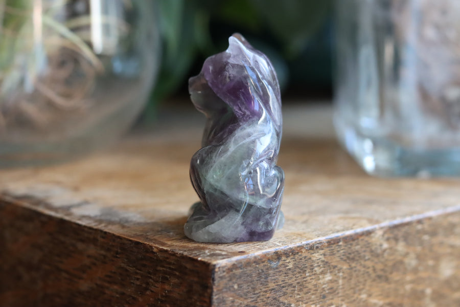 Rainbow fluorite cat 6 new