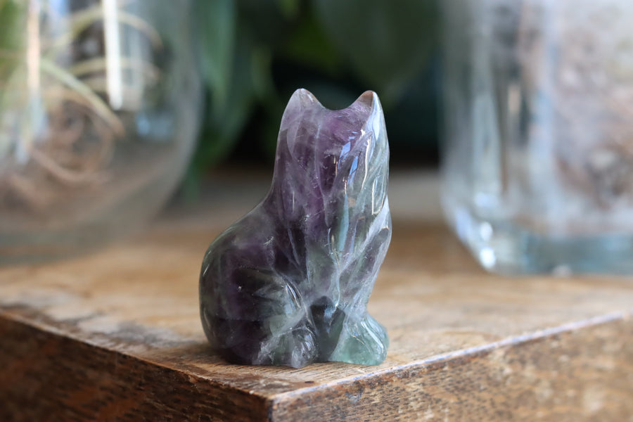 Rainbow fluorite cat 6 new