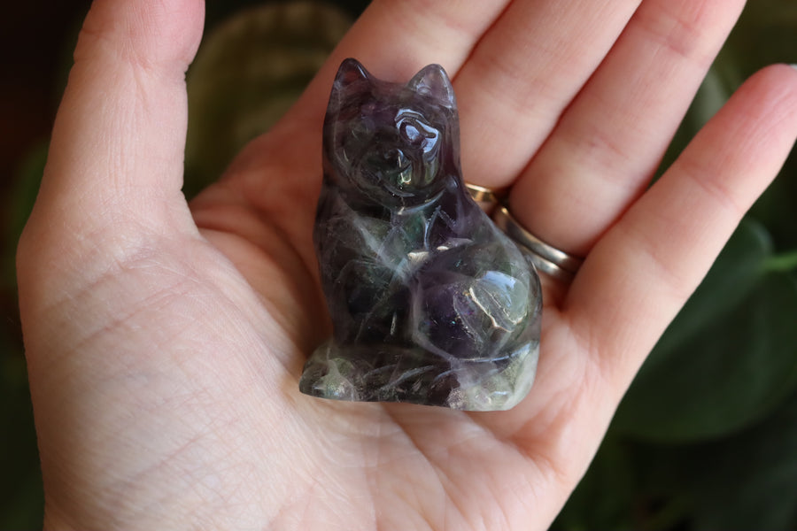 Rainbow fluorite cat 6 new