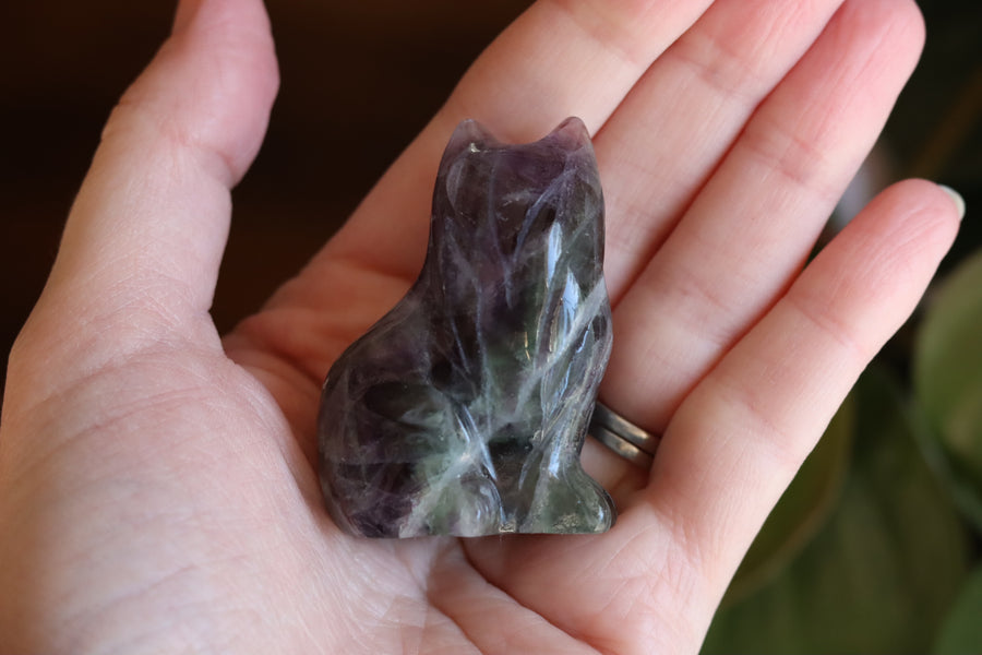 Rainbow fluorite cat 6 new