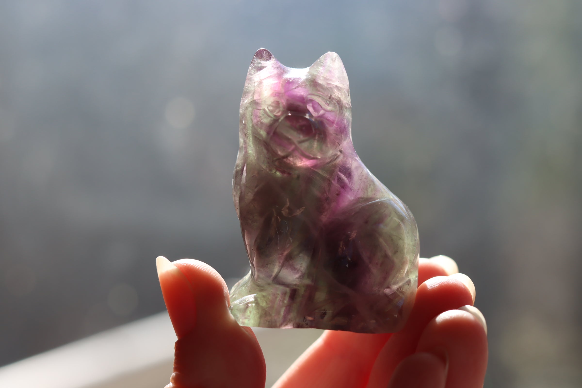 Rainbow fluorite cat 6