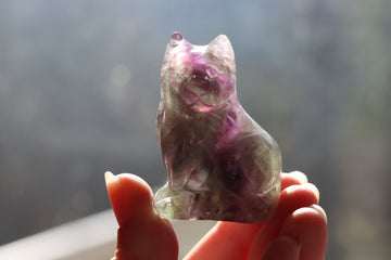 Rainbow fluorite cat 6 new