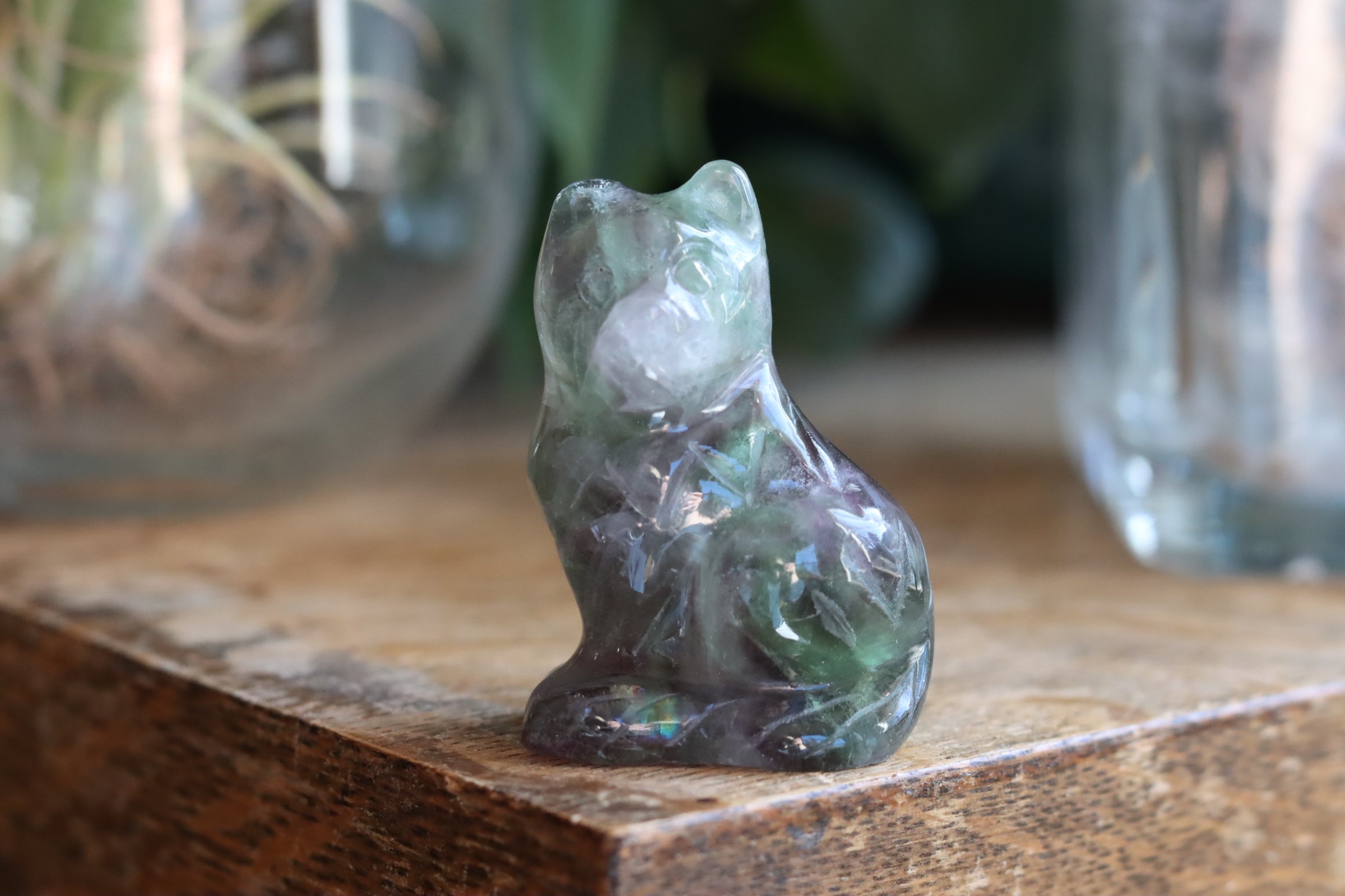 Rainbow fluorite cat 9