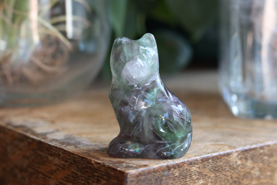 Rainbow fluorite cat 9 new